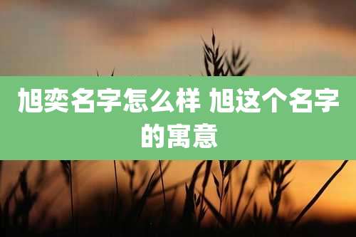旭奕名字怎么样 旭这个名字的寓意