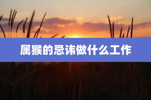 属猴的忌讳做什么工作