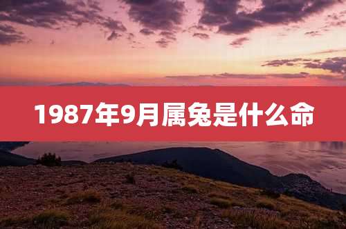 1987年9月属兔是什么命