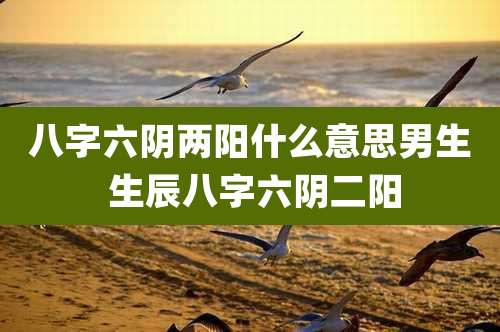 八字六阴两阳什么意思男生 生辰八字六阴二阳