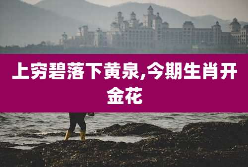 上穷碧落下黄泉,今期生肖开金花