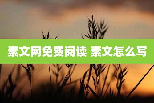 素文网免费阅读 素文怎么写