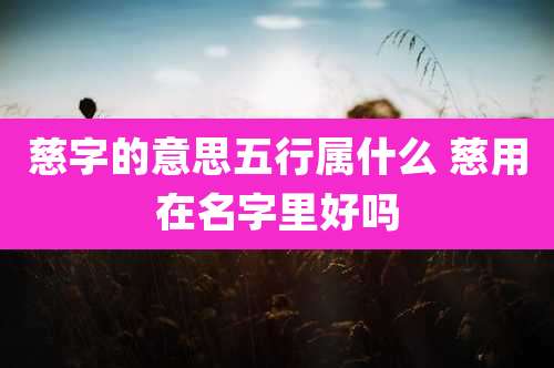 慈字的意思五行属什么 慈用在名字里好吗