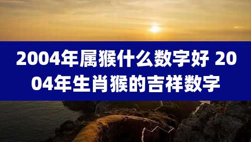 2004年属猴什么数字好 2004年生肖猴的吉祥数字