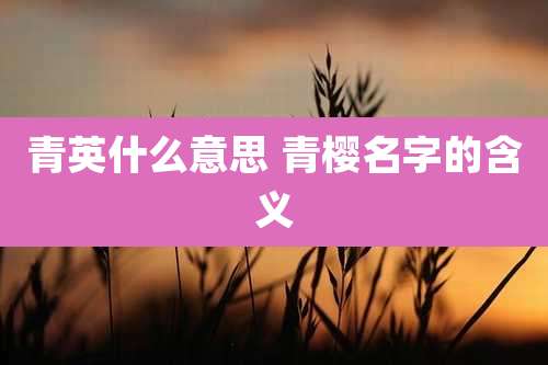 青英什么意思 青樱名字的含义