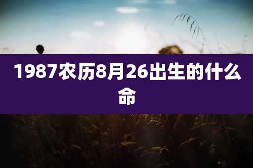 1987农历8月26出生的什么命