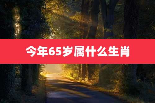 今年65岁属什么生肖