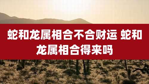 蛇和龙属相合不合财运 蛇和龙属相合得来吗