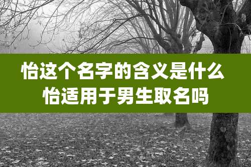 怡这个名字的含义是什么 怡适用于男生取名吗