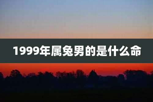 1999年属兔男的是什么命