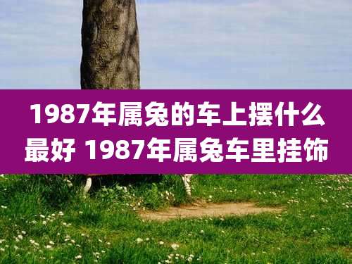 1987年属兔的车上摆什么最好 1987年属兔车里挂饰