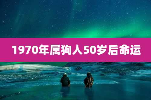 1970年属狗人50岁后命运