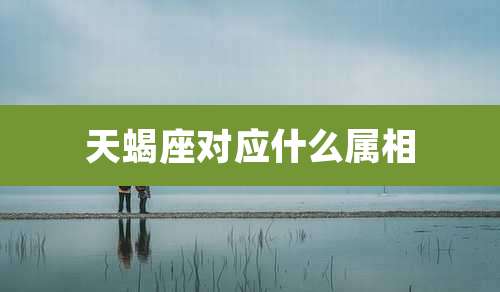 天蝎座对应什么属相