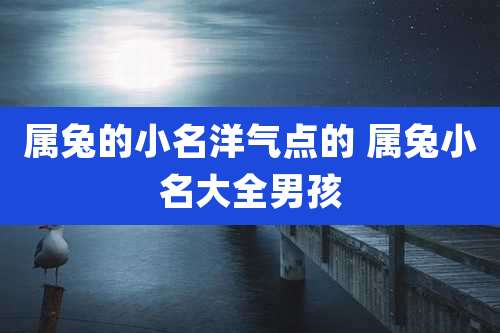 属兔的小名洋气点的 属兔小名大全男孩