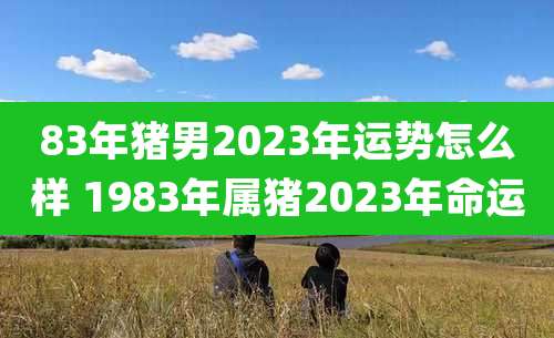 83年猪男2023年运势怎么样 1983年属猪2023年命运