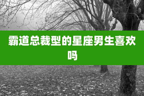 霸道总裁型的星座男生喜欢吗
