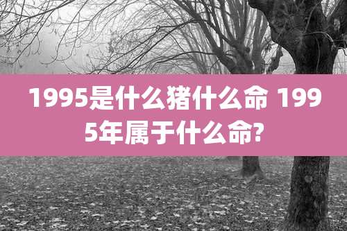 1995是什么猪什么命 1995年属于什么命?
