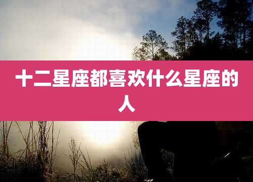 十二星座都喜欢什么星座的人