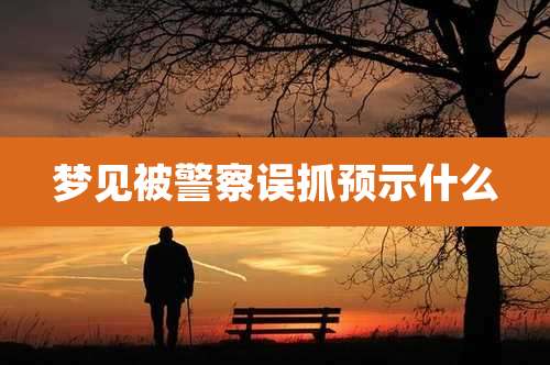 梦见被警察误抓预示什么