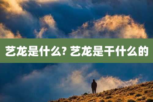 艺龙是什么? 艺龙是干什么的