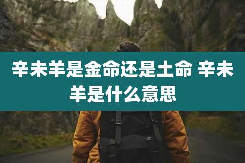 辛未羊是金命还是土命 辛未羊是什么意思