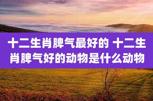 十二生肖脾气最好的 十二生肖脾气好的动物是什么动物