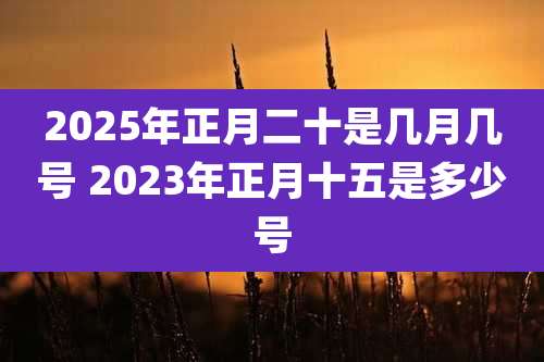 2025年正月二十是几月几号 2023年正月十五是多少号