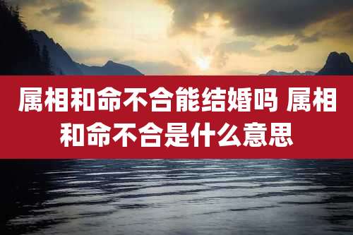 属相和命不合能结婚吗 属相和命不合是什么意思