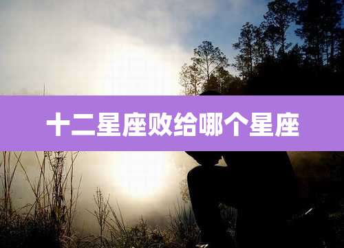 十二星座败给哪个星座
