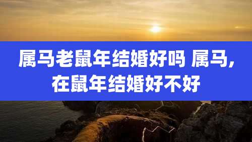 属马老鼠年结婚好吗 属马,在鼠年结婚好不好