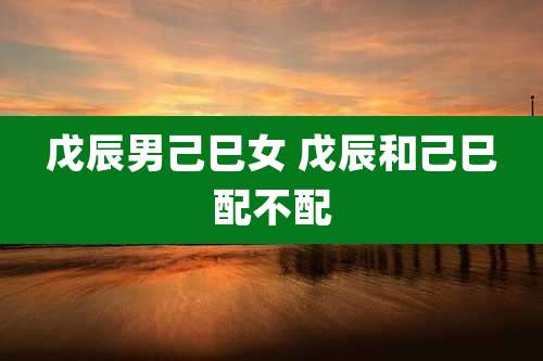 戊辰男己巳女 戊辰和己巳配不配