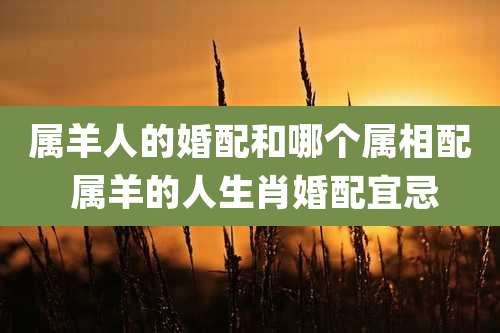 属羊人的婚配和哪个属相配 属羊的人生肖婚配宜忌