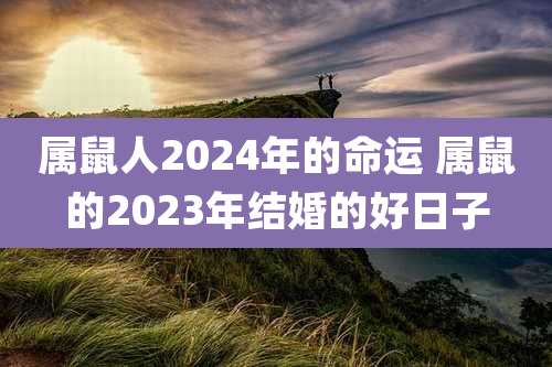 属鼠人2024年的命运 属鼠的2023年结婚的好日子