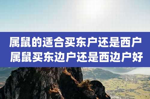 属鼠的适合买东户还是西户 属鼠买东边户还是西边户好