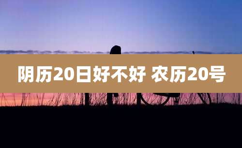 阴历20日好不好 农历20号