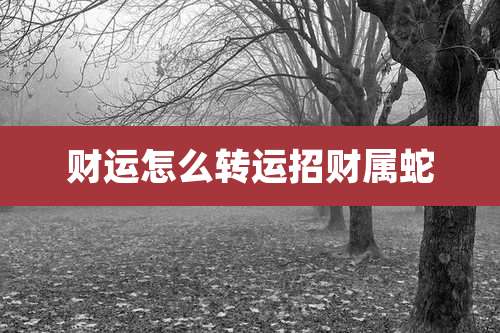 财运怎么转运招财属蛇
