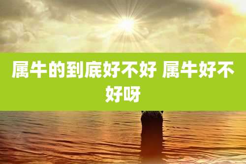属牛的到底好不好 属牛好不好呀