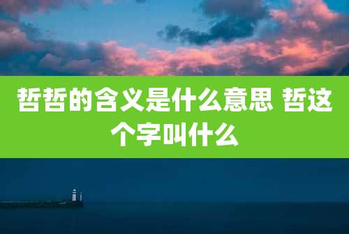 哲哲的含义是什么意思 哲这个字叫什么