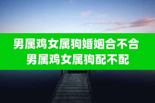 男属鸡女属狗婚姻合不合 男属鸡女属狗配不配