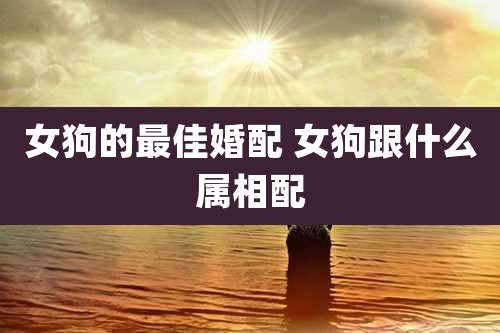 女狗的最佳婚配 女狗跟什么属相配