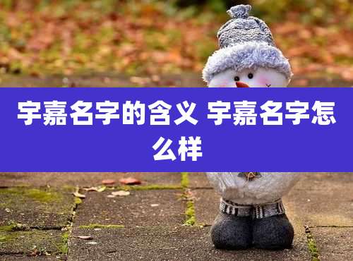 宇嘉名字的含义 宇嘉名字怎么样