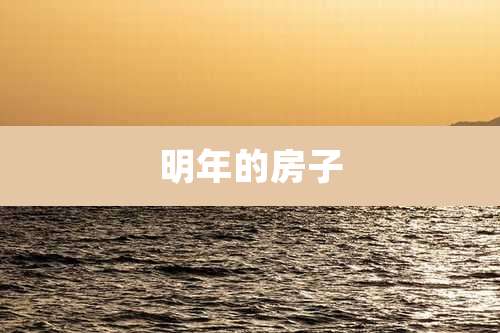 明年的房子