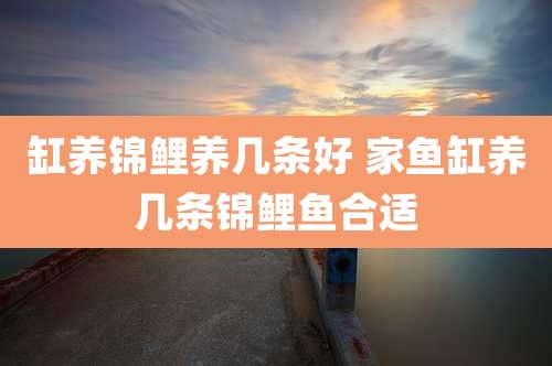 缸养锦鲤养几条好 家鱼缸养几条锦鲤鱼合适