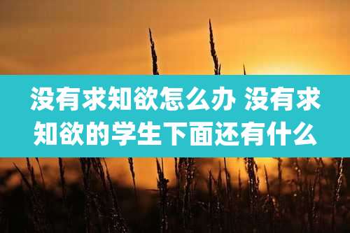 没有求知欲怎么办 没有求知欲的学生下面还有什么