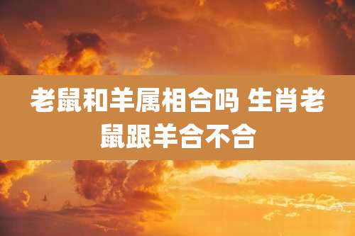 老鼠和羊属相合吗 生肖老鼠跟羊合不合