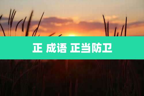 正 成语 正当防卫