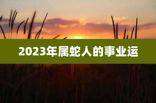 2023年属蛇人的事业运