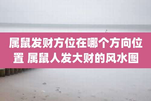 属鼠发财方位在哪个方向位置 属鼠人发大财的风水图