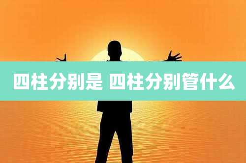 四柱分别是 四柱分别管什么