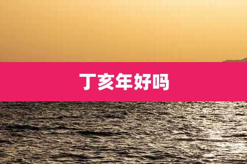丁亥年好吗